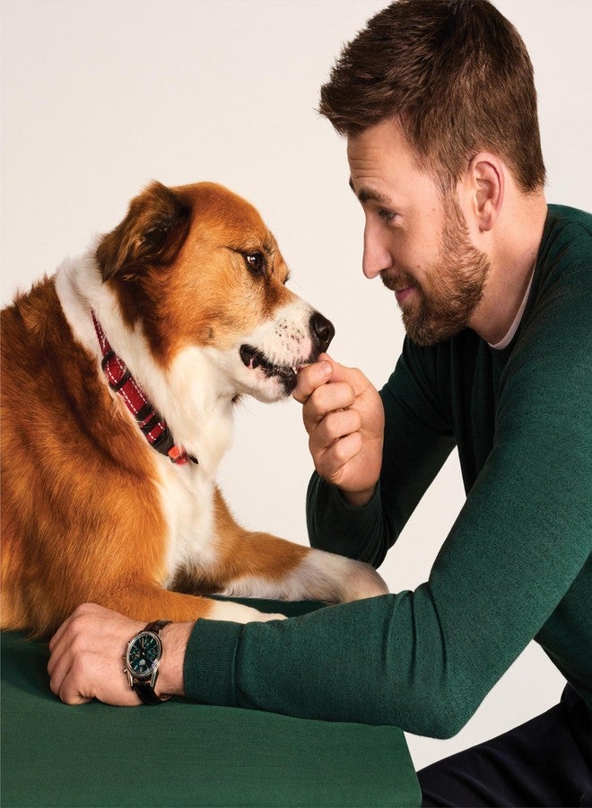 Jinx Oven-Baked Salmon Bone Broth Biscuit Dog Treats - Crunchy, All Natural, Superfood-Rich with High-Protein Salmon, Dog Biscuits for Puppies, Adults & Seniors - 16oz - Image 4